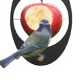 thumbnail image 6 of Cheer.US Hummingbird Fruit Feeder, Outdoor Metal Hummingbird Bird Feeder Hanging, Small Creative Suspended Fruit Bird Feeder, for Garden Yard Decoration Outside Garden-5.91"x3.94’’, 6 of 7