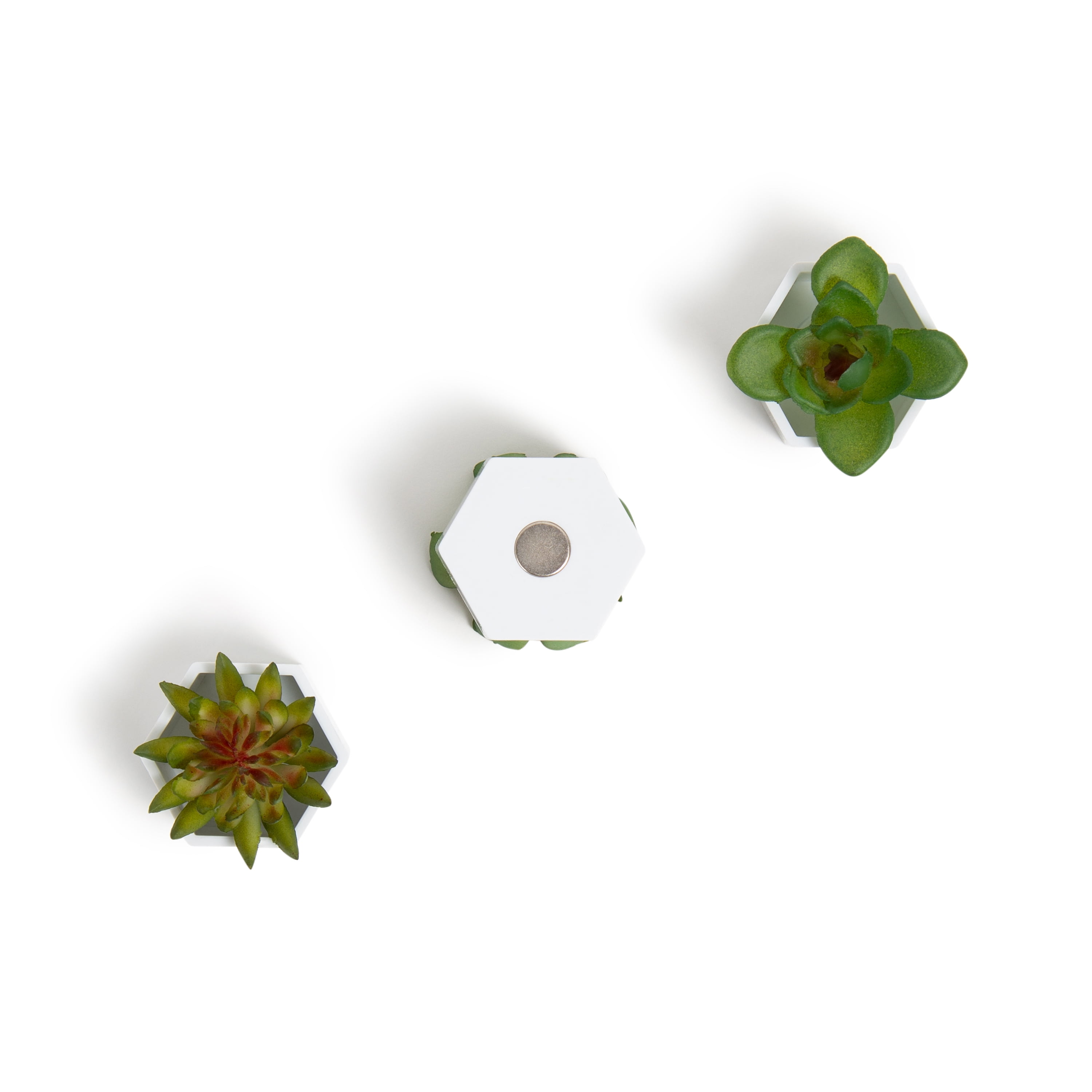 U Brands Hexagonal Succulent Magnets, Strong-Hold, Assorted Designs, 3 Count, 0.02 lb