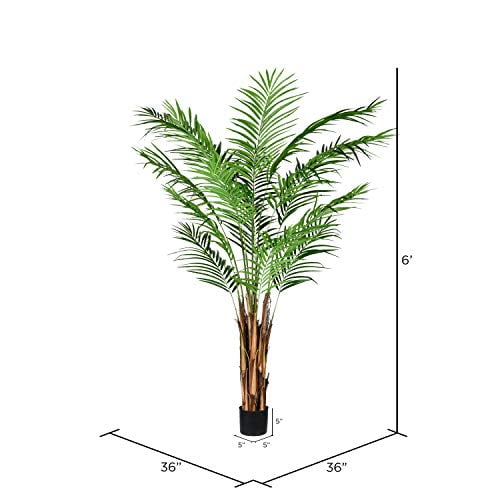 6 Potted Areca Palm 567 Leaves