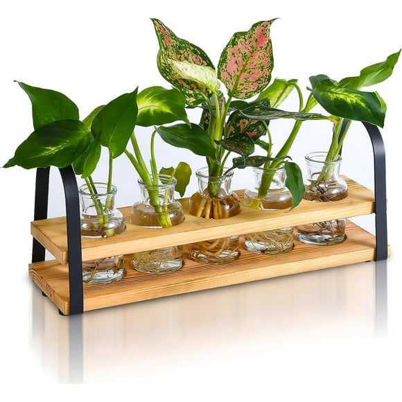 Plant Propagation Station with Wood Stand, Desktop Terrarium for Hydroponic, Flower Vase for Home, Kitchen, Office Decor, Plant Lover Gifts