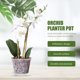 thumbnail image 4 of GAXIRE 1Jgo Maceta De Plástico Transparente Con Ventilación Para Plantas De Interior Y Exterior, 4 of 8