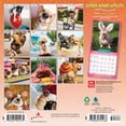 thumbnail image 2 of Avanti Dogs Gone Wild OFFICIAL | 2026 7x14" (Hanging) Wall Calendar | BrownTrout, 2 of 9