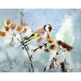 thumbnail image 3 of Pautov, Igor 24x20 Black Modern Framed Museum Art Print Titled - Colorful Bird, 3 of 5