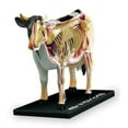 thumbnail image 2 of 4D Vision Cow Anatomy Model, 2 of 2