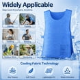 thumbnail image 6 of Adjustable Cooling Vest with 24 Ice Packs for Men and Women, Anti-Heat Ice Vest PVA Waterproof Ice Vest Resistant Personal Cooling Vest Sports Vest for Outdoor Work and Motorcycle, Blue, 6 of 6