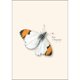 thumbnail image 3 of Juego de tarjetas de notas Earth Sky + Water 9 cm x 13 cm, paquete de 8, 3 of 6