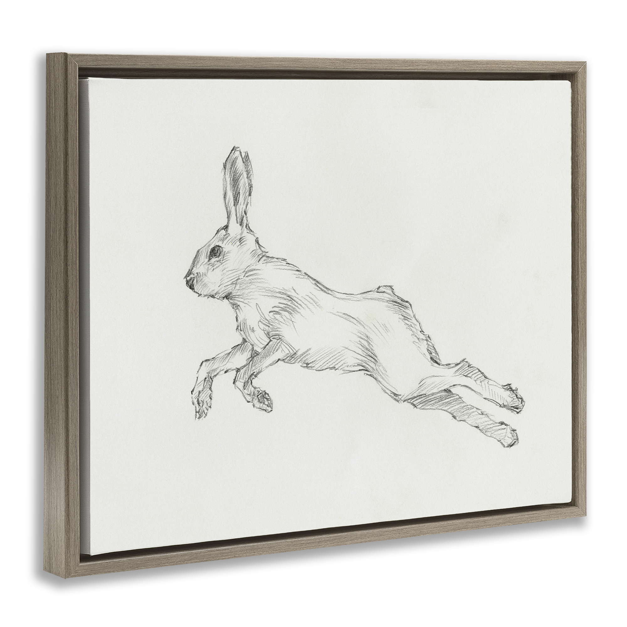 Stupell Industries Rabbit Hopping Sketch Animals & Insects Drawing Brown Floater Framed Canvas Art Print Wall Art, 21 x 17