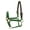 Hunter Green, variant on Breakaway Halter - Cob Colors: Red