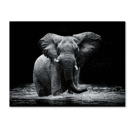Trademark Fine Art Power 1 Canvas Art by Gorazd Golob