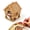 C, variant on Clearance Christmas Diamond Art Decorations Diamond Painting Christmas Houses – DIY Rhinestone Mosaic Wooden Ornament Set, Holiday Tabletop Decor, K*ids Craft Kit (Christmas Gingerbread House
