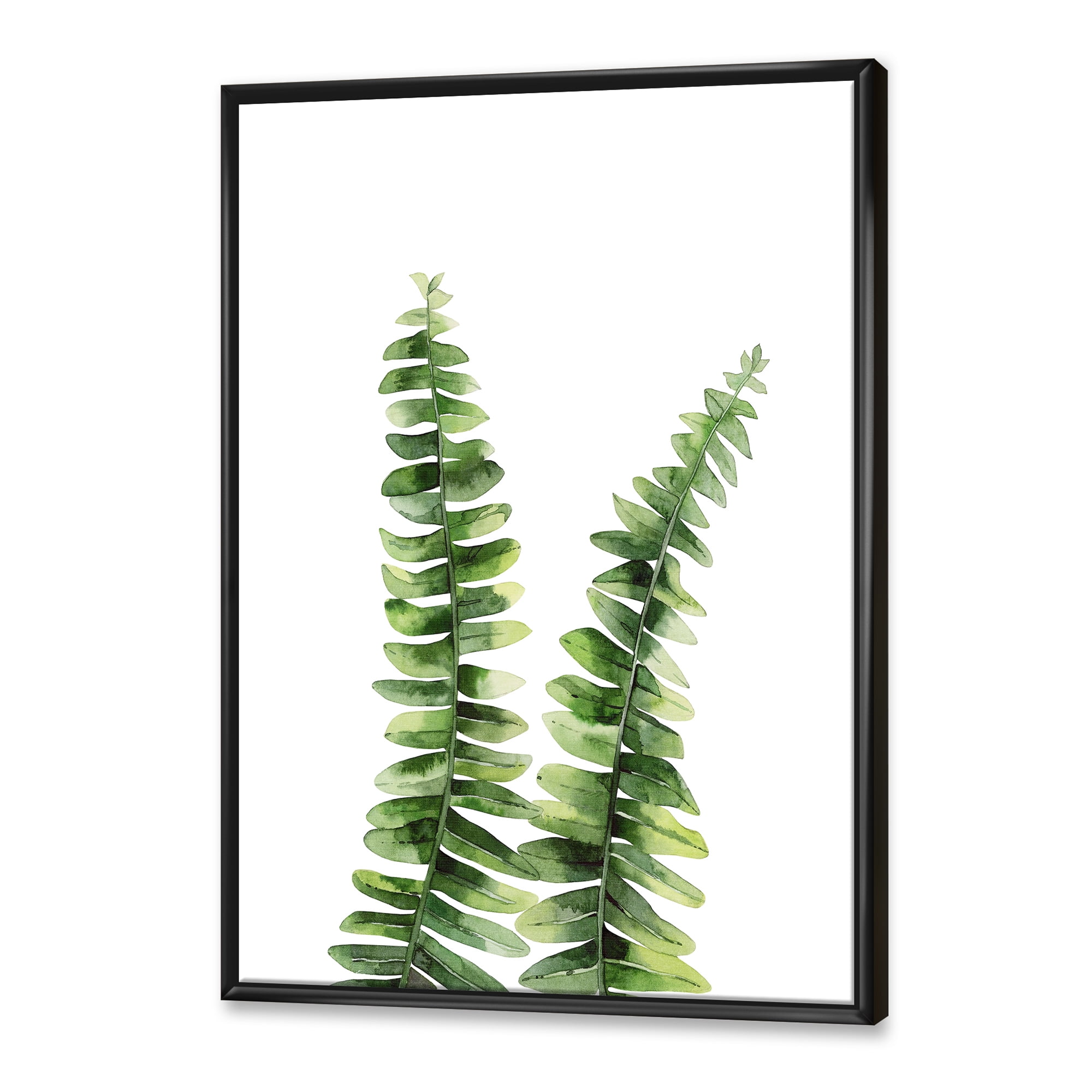 Designart 'Fern Plant Leaves Detail V' Tropical Framed Canvas Wall Art Print
