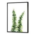 thumbnail image 3 of Designart 'Fern Plant Leaves Detail V' Tropical Framed Canvas Wall Art Print, 3 of 5