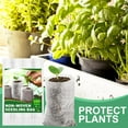 thumbnail image 2 of 200Pcs Seedling Grow Bags, White Seed Starter Container For Planting Seedling Cutting Clones, 2 of 8