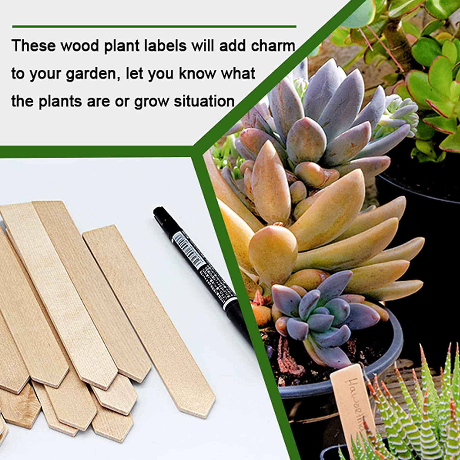 50Pcs Wooden Plant Labels Plant Tags 6 Inch Garden Plants Markers Waterproof Seed Labels Markers Sticks Outdoor Garden Label Stakes Sign Wooden Plants Name Tags for Seedling Vegetables Flower