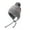 Gray, variant on Women's Winter Hat Cute Beanie Vintage Faux Fur Thick Knit Furry Ball Casual Spring Warm Cozy Winter Hat Grey One Size