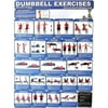 Productive Fitness Poster Series - Dumbbell Exercises (Upper & Core) Home Use