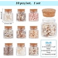 1Set 10Pcs Natural Sea Shell Conch Bead & Transparent Glass Bottle ...