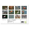 thumbnail image 2 of Elegant Flamingo (Monthly Wall Calendar 2026 16.5 x 23.4 (open)), CALVENDO 14 Month Calendar, 2 of 9