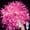 Pink, variant on Christmas String Lights,10M 80LED Fairy Lights Indoor Fairy Lights Indoor Outdoor Rope Fairy String Lights USB Powered with Remote