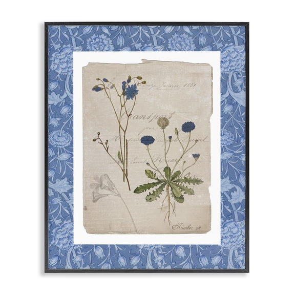 Stupell Industries Cottage Blue Antique Herbs Black Framed Giclee Art, 11 x 14, by Livi Finn