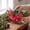 B, variant on Christmas Santa Sleigh Indoor Decorations, Flower, Candy Basket, White Cloth Sled Christmas Tree Decor Photo Booth Props Kit Table Top Xmas Decor,10 Inch