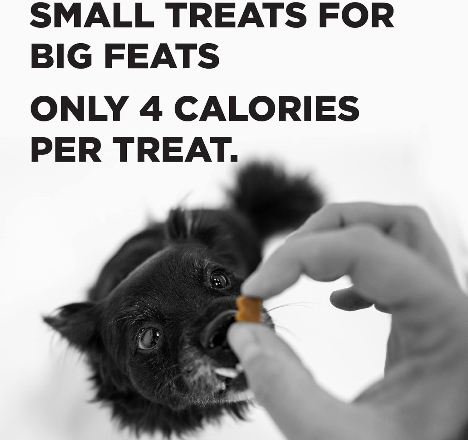BIXBI Pocket Trainers Dog Treats: (1) Peanut Butter, (1) Bacon and (1) Chicken (3 Bags Total, 6 Oz Each)