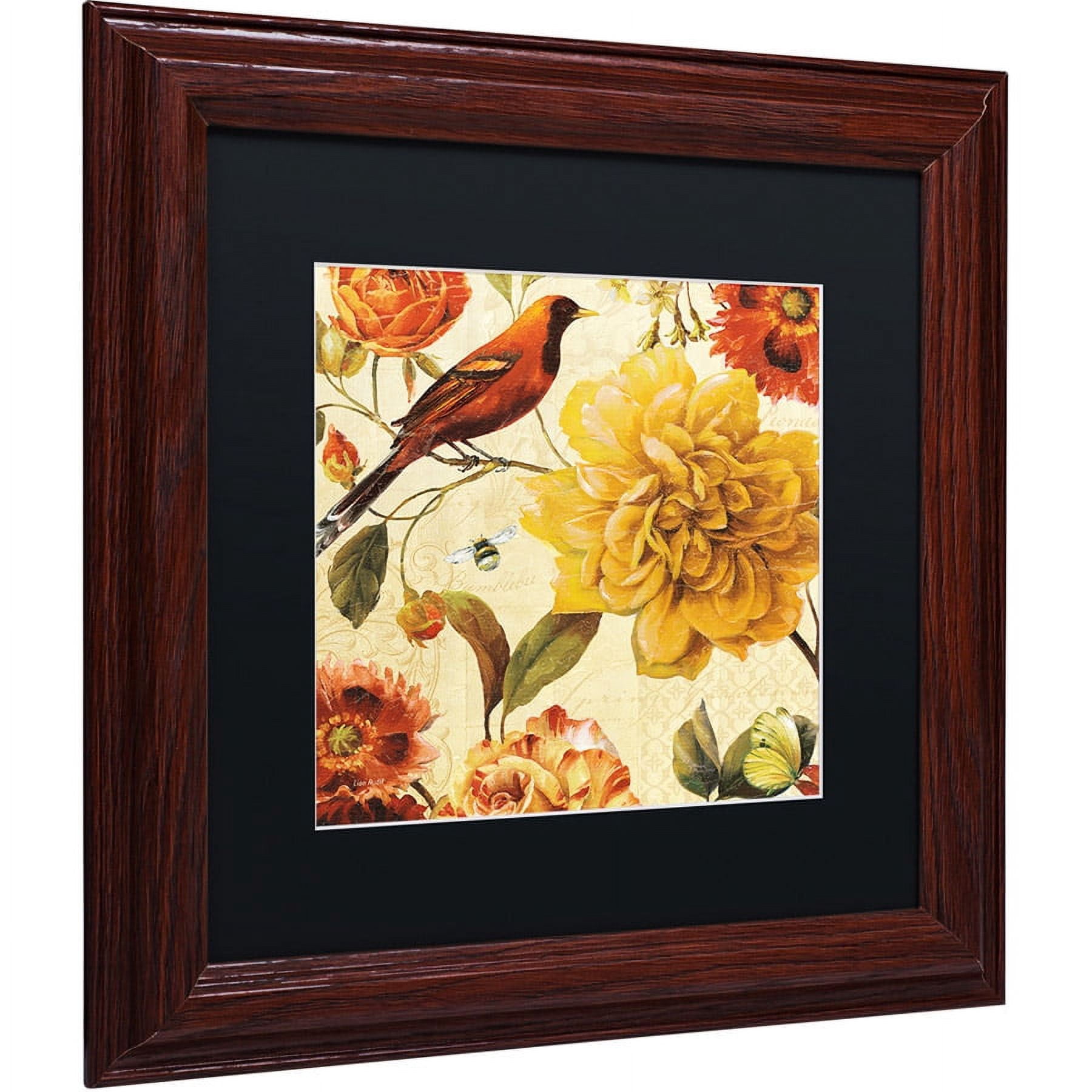 Trademark Fine Art "Rainbow Garden Spice II" Canvas Art by Lisa Audit, Black Matte, Wood Frame