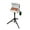 Gas grill with foldable tripod (Silver), variant on Byacgrill Portable Gas Grillwith Foldable Tripod, 10,000 BTU Burner Stainless Steel Propane Grill ,BBQ Gas Grill for Camping,Tailgating, Backyard , Picnic (32.2"-37.5" Height Adjustable)