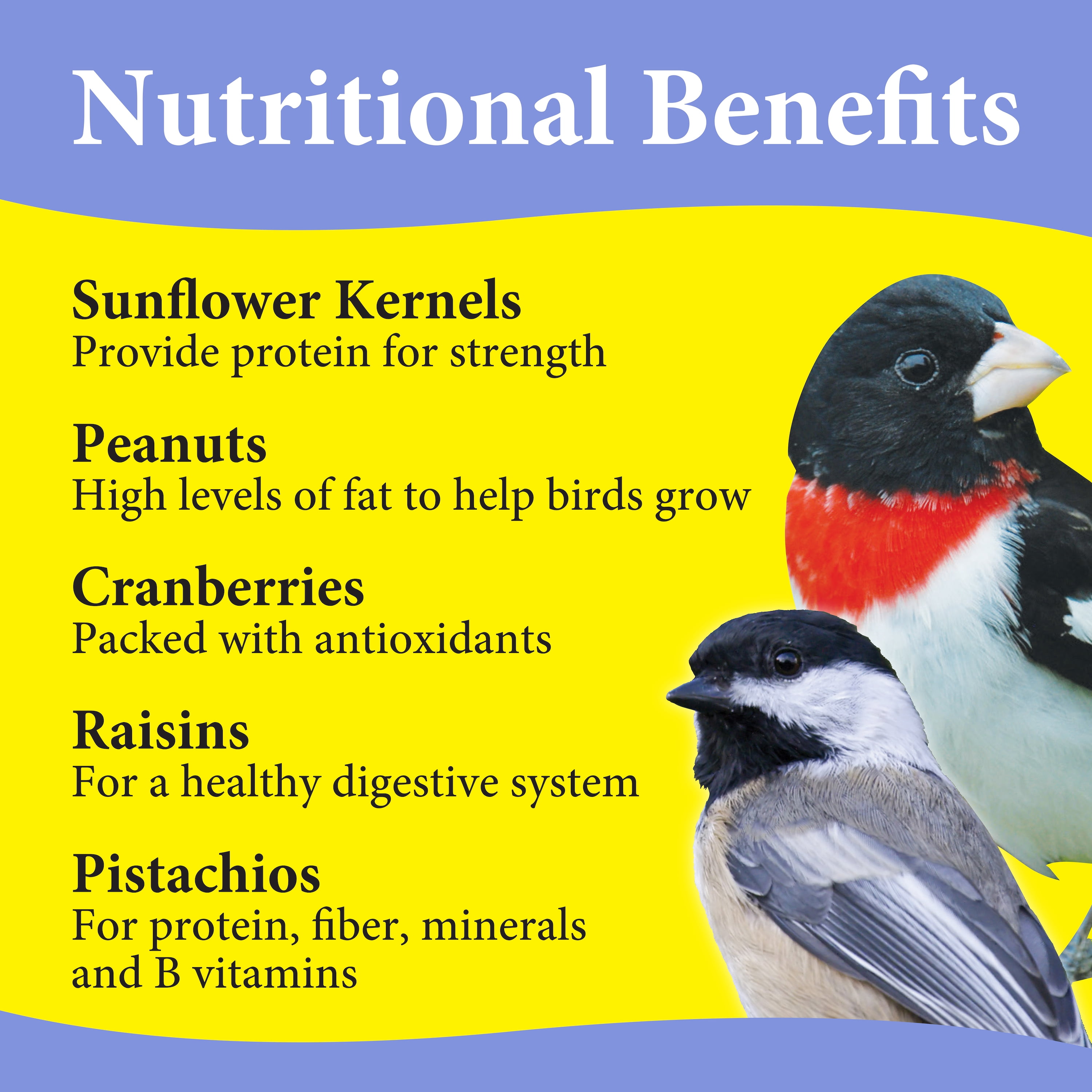 3-D Pet Products Premium Nut N' Berry Blend Dry Wild Bird Food, 5 lb., Does Not Contain Fillers