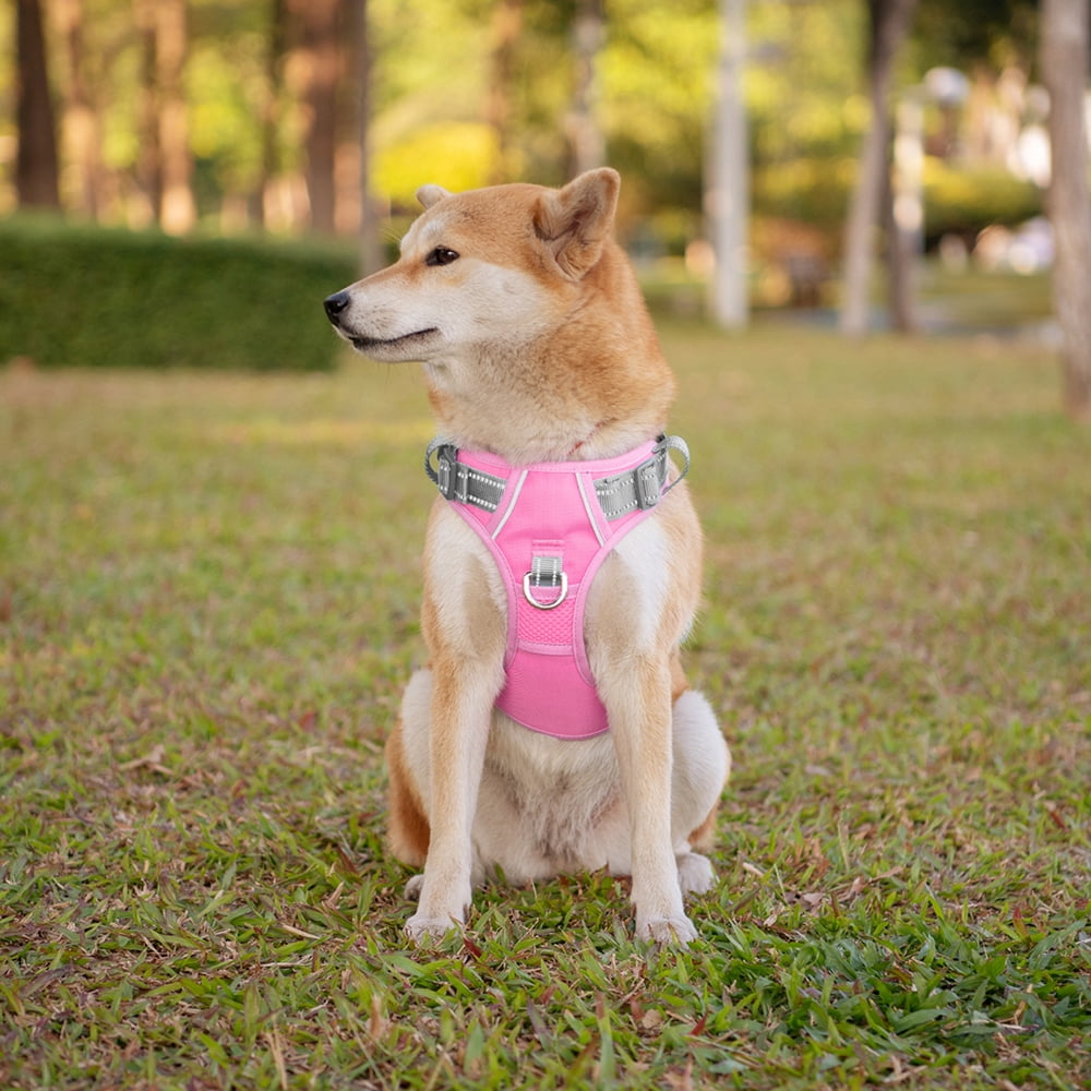 PHOEPET No Pull Dog Harness, Unique Colors Reflective Adjustable Dog Vest, with Soft Training Handle Metal Clips for Small Medium Large Dogs (Baby Pink Base & Grey Straps)
