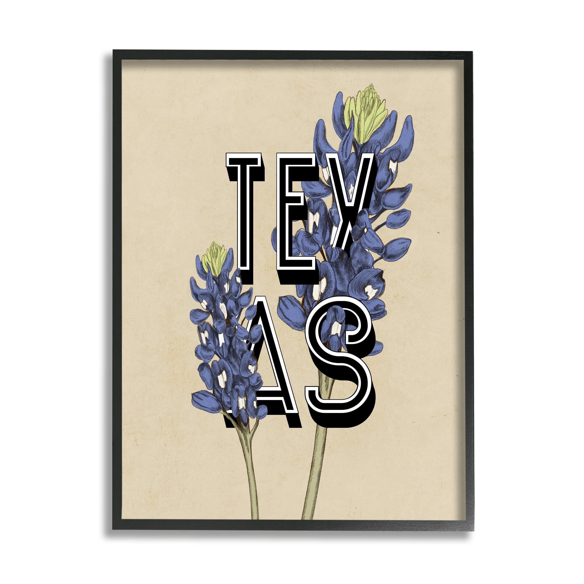 Stupell Industries Texas State Flower Bluebonnet Plant Sprigs Typography Graphic Art White Framed Art Print Wall Art, Design by Daphne Polselli