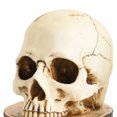 thumbnail image 4 of Soporte para Cuchillos Con Forma Calavera Estante Almacenamiento Terror Resina Halloween (25cm), 4 of 8