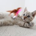 thumbnail image 2 of Creative Cat Collar Teaser Toy Kitten Teasing Stick Cat Bite Resistant Toy, 2 of 3