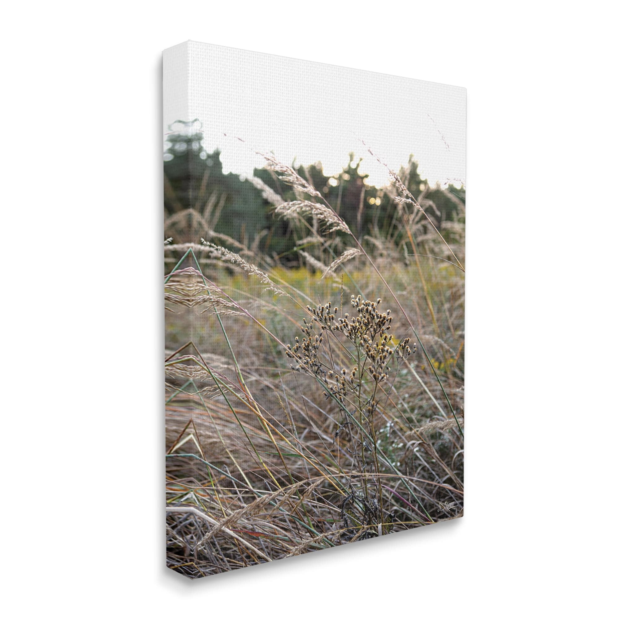 Stupell Industries Countryside Meadow Blooming Reeds Tall Grass Buds Canvas Wall Art, 36 x 48, Design by Donnie Quillen