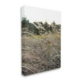 thumbnail image 3 of Stupell Industries Countryside Meadow Blooming Reeds Tall Grass Buds Canvas Wall Art, 16 x 20, Design by Donnie Quillen, 3 of 5
