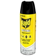 Raid Defense System Indoor and Outdoor Ants, Roaches, Spiders and Flies Insect Killer Bug Spray, 15 oz