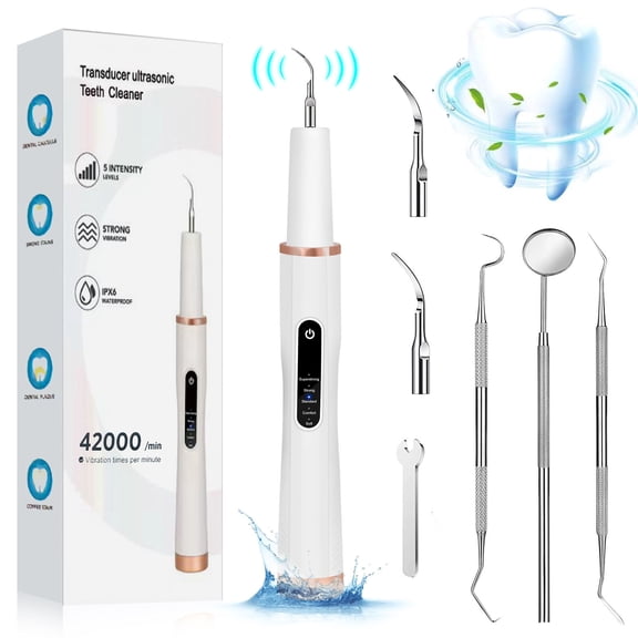 Plaque Remover for Teeth, Electric Tooth Cleaner Tartar Remover for Teeth with LED Light,3 Modes Rechargeable Teeth Cleaning Kit with Dental Tools, 2 Replaceable Heads