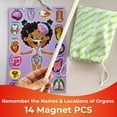 thumbnail image 4 of Rompecabezas magnéticos QUOKKA Montessori para niños de 3 a 5 años con cuerpo humano, 4 of 8