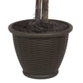 thumbnail image 3 of Vickerman 4' Artificial Ficus Extra Full Bush, Brown Plastic Container., 3 of 4