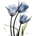 thumbnail image 2 of Koetsier, Albert 26x32 Black Ornate Wood Framed with Double Matting Museum Art Print Titled - Indigo Infused Tulips, 2 of 4