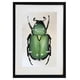 thumbnail image 1 of Cuadro decorativo pintado 100% a mano colección AnimalArt enmarcado con madera y vidrio, 1 of 3