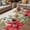 Beige, variant on Christmas Poinsettia Outdoor Rug for Patio/Deck/Porch, Non-Slip Large Area Rug 5 x 7 Ft, Xmas Birds Berries Eucalyptus Botanical Indoor Outdoor Rugs Washable Area Rugs, Camping Rug Carpet Runner