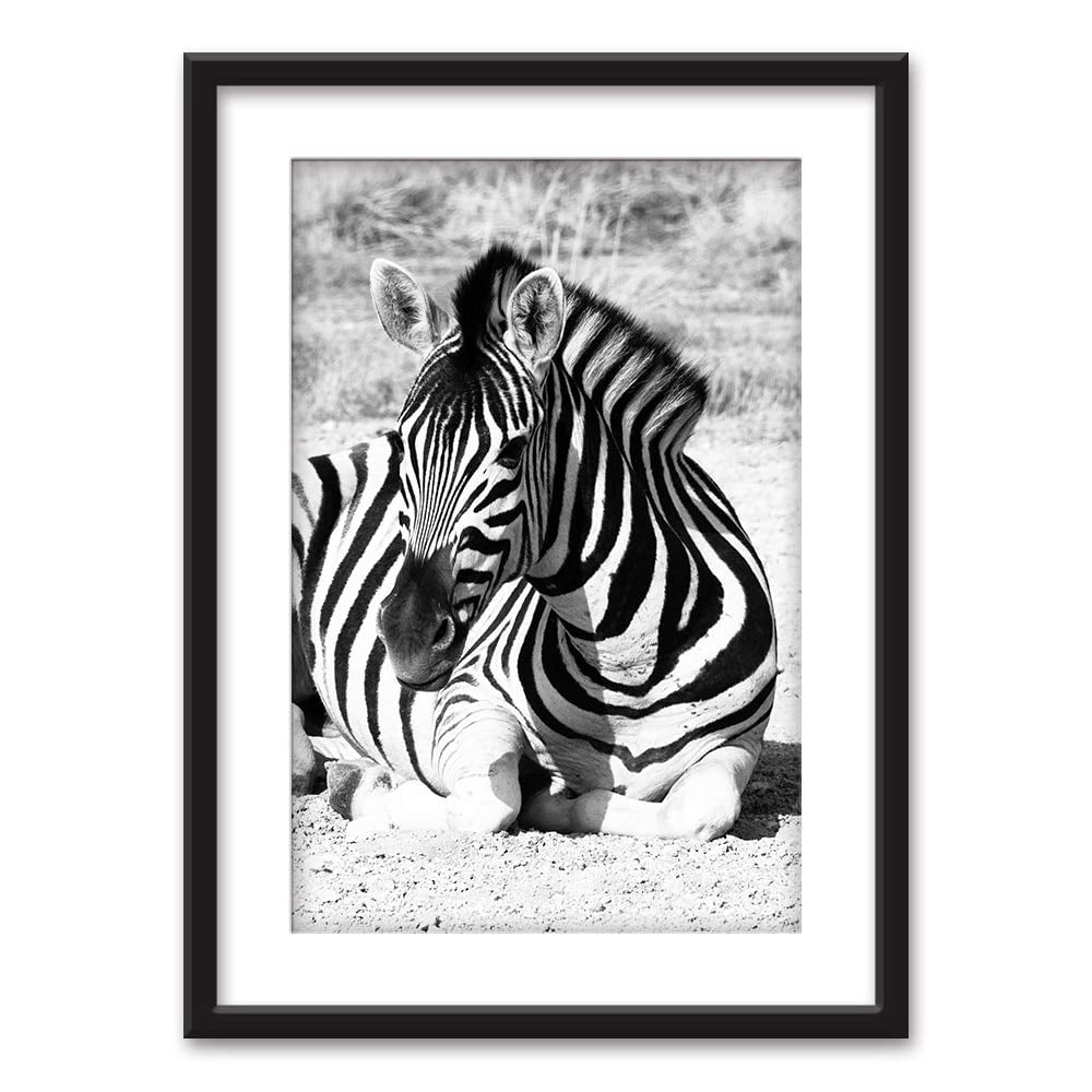 wall26 - Framed Wall Art - A Zebra in Black White - Black Picture ...
