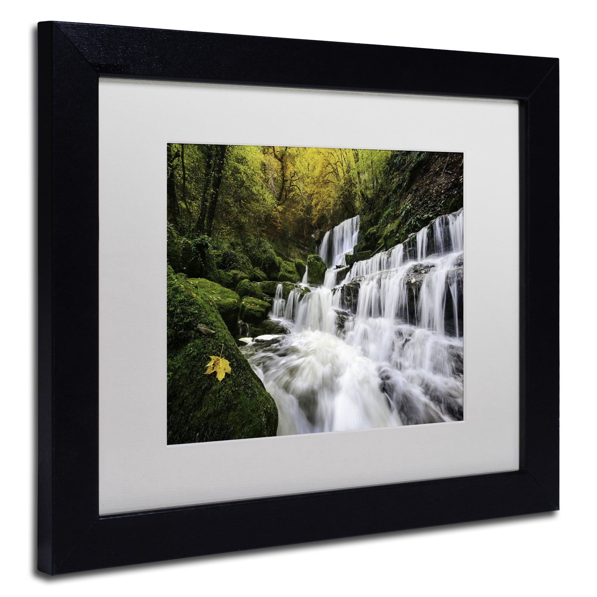 Trademark Fine Art "The Song of the Autumn" Canvas Art by Mathieu Rivrin, White Matte, Black Frame