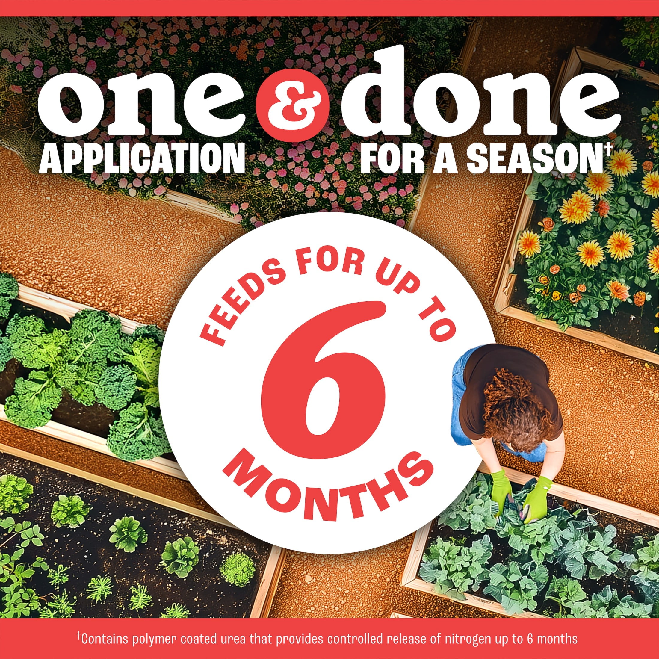 Pennington Full Season Tomato & Vegetable Garden Plant Food, 10-15-15 Fertilizer, 4lb.