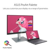 ASUS 23.8 ProArt 1080P HD IPS Mntr