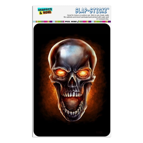 Chrome Metal Flaming Skull Home Business Office Sign