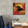 thumbnail image 3 of Epic Graffiti 'Comfy' by Christopher Nick, Canvas Wall Art, 26"x26", 3 of 8