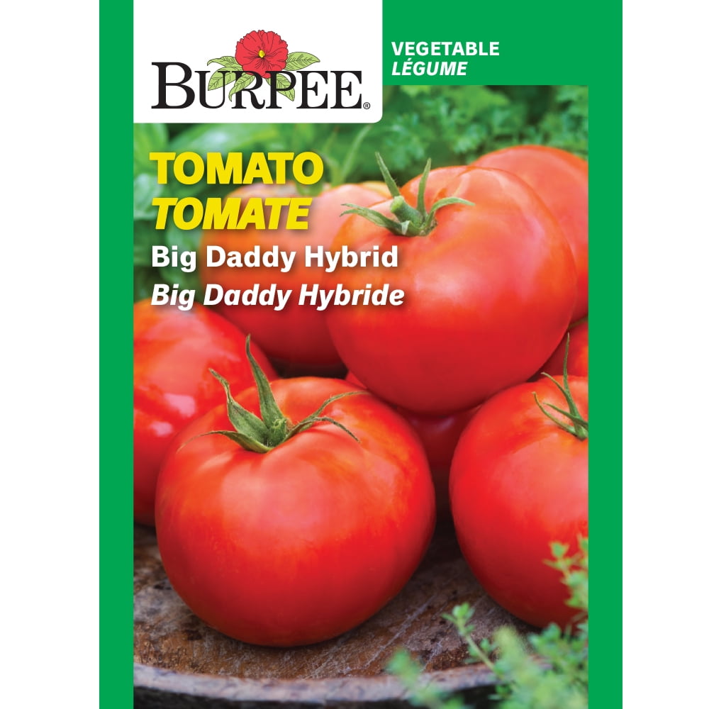 Burpee Big Daddy Hybrid Tomato, Plant Seeds for Home Garden