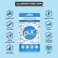 thumbnail image 3 of PUR Sugar-Free Peppermint Gum Bag, 3 of 5